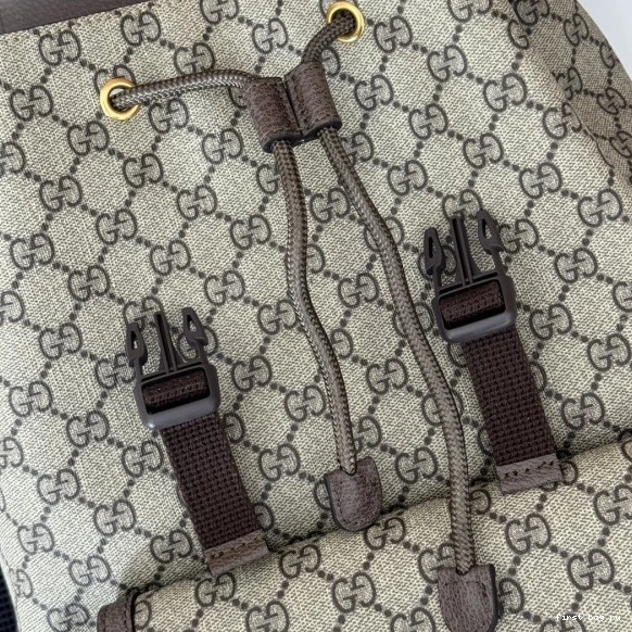 Firstbag ru OPHIDIA GUCCI BACKPACK SMALL GG 0820